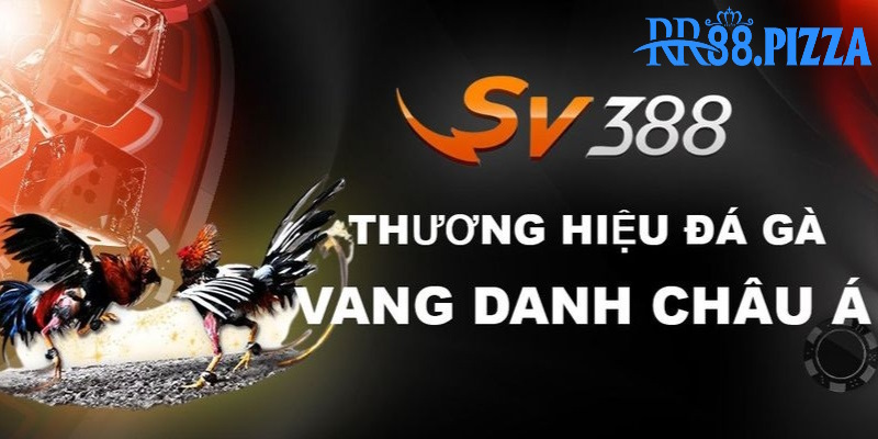 Tận Dụng Thế Mạnh Của SV388 để Thành Công trong Cuộc Sống